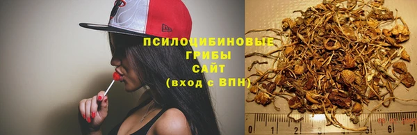 гашик Балабаново