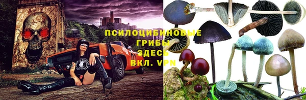 гашик Балабаново