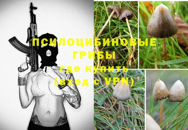 гашик Балабаново