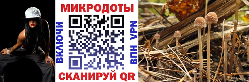 цены   MEGA вход  Псилоцибиновые грибы Psilocybine cubensis  Всеволожск 